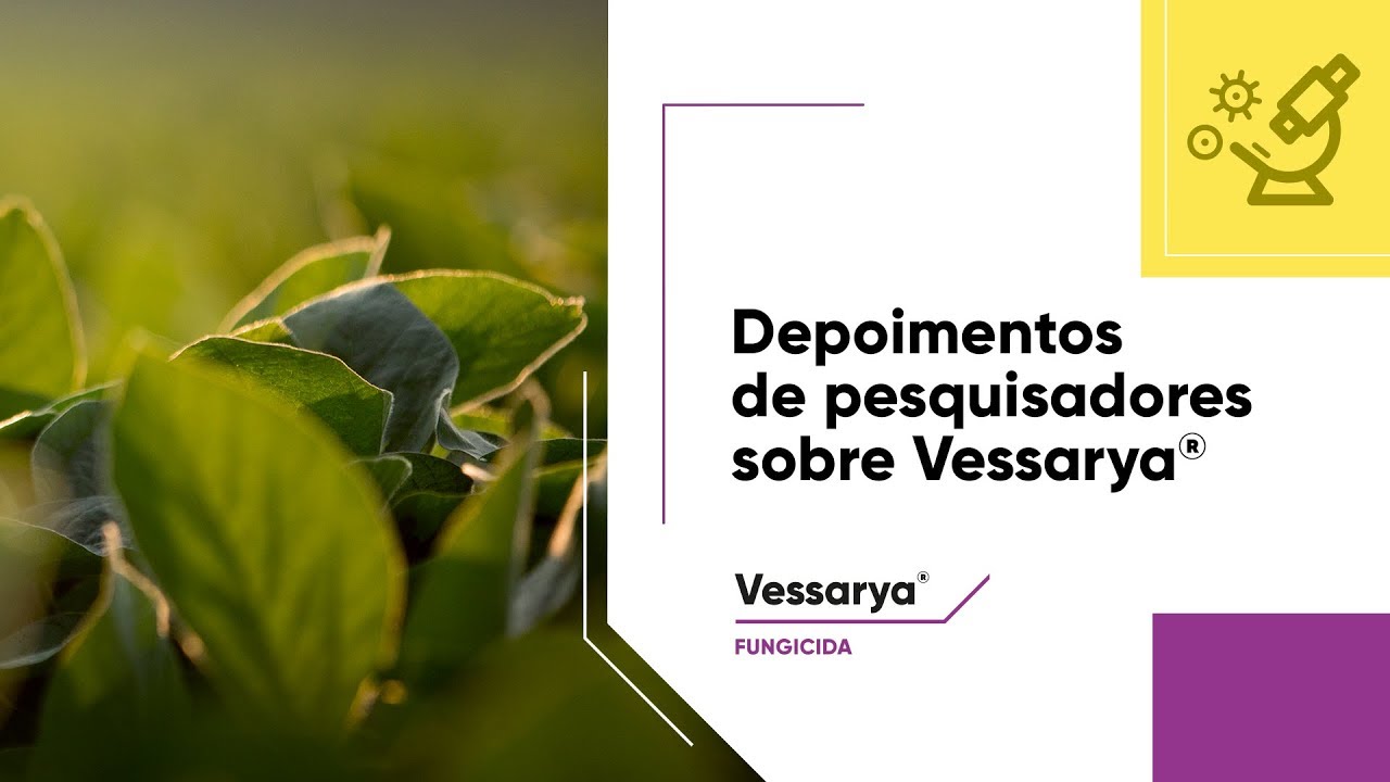 Pesquisadores apontam amplo espectro de controle de doenças da soja com Vessarya®